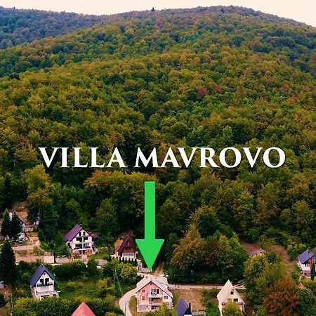 ǀ Villa Mavrovo ǀ Spacious ǀ Lake View ǀ מראה חיצוני תמונה